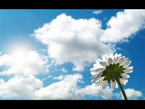 Vou Sonhar_Isabel Barbosa