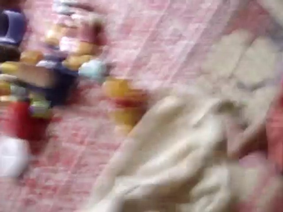 MOV01737