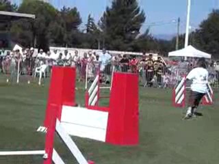 bayron jump trophée 2010