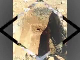 Hastane Önünde İncir Ağacı (iclal Aydın)