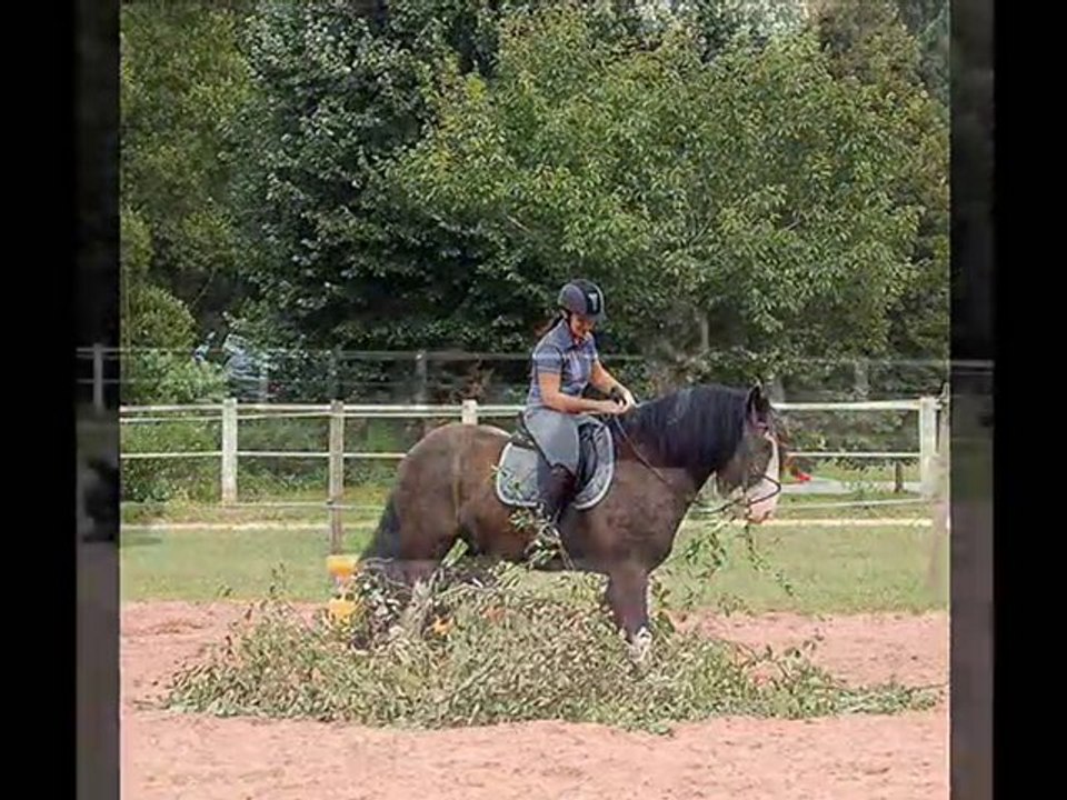 Concours CGS Alsting 08.2010