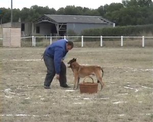 Ring 3 Jean-françois Ménard et Viking III Land Van Mechelaar