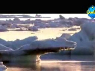 noms d'allah- sheikh Mishary Rashid Alafasy