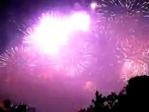 Fêtes De Genève - Feu D'Artifice Samedi 7 Août 2010 By Petit