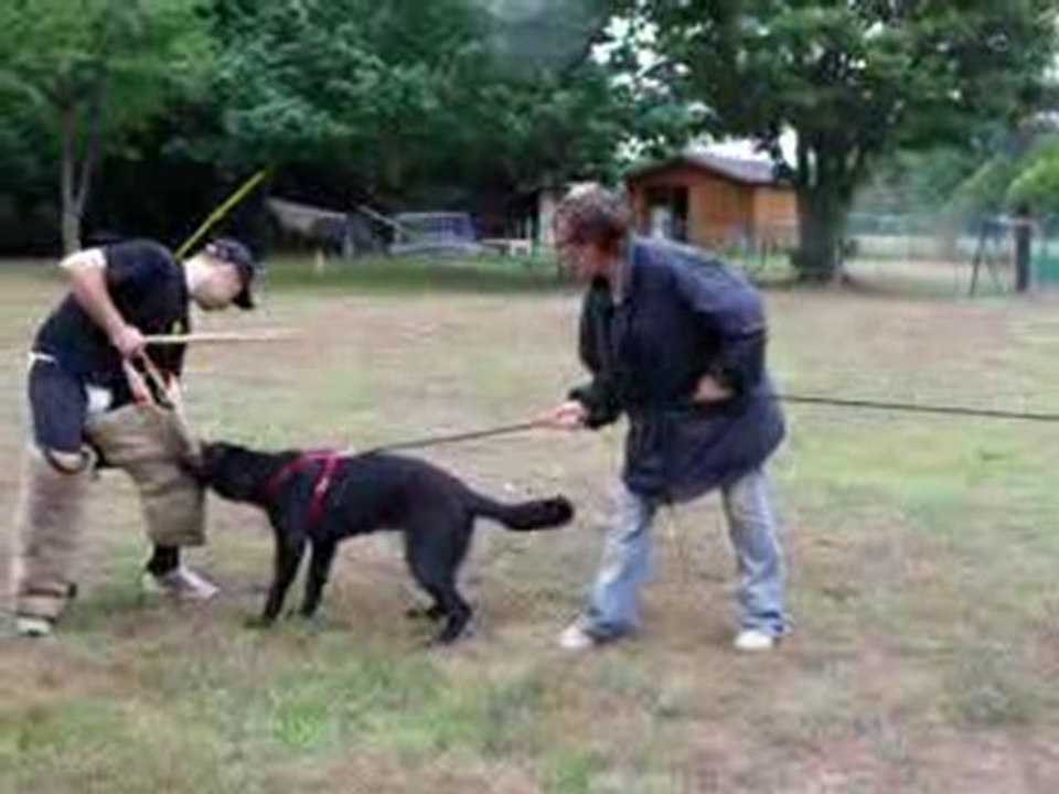 friska soeur de flame