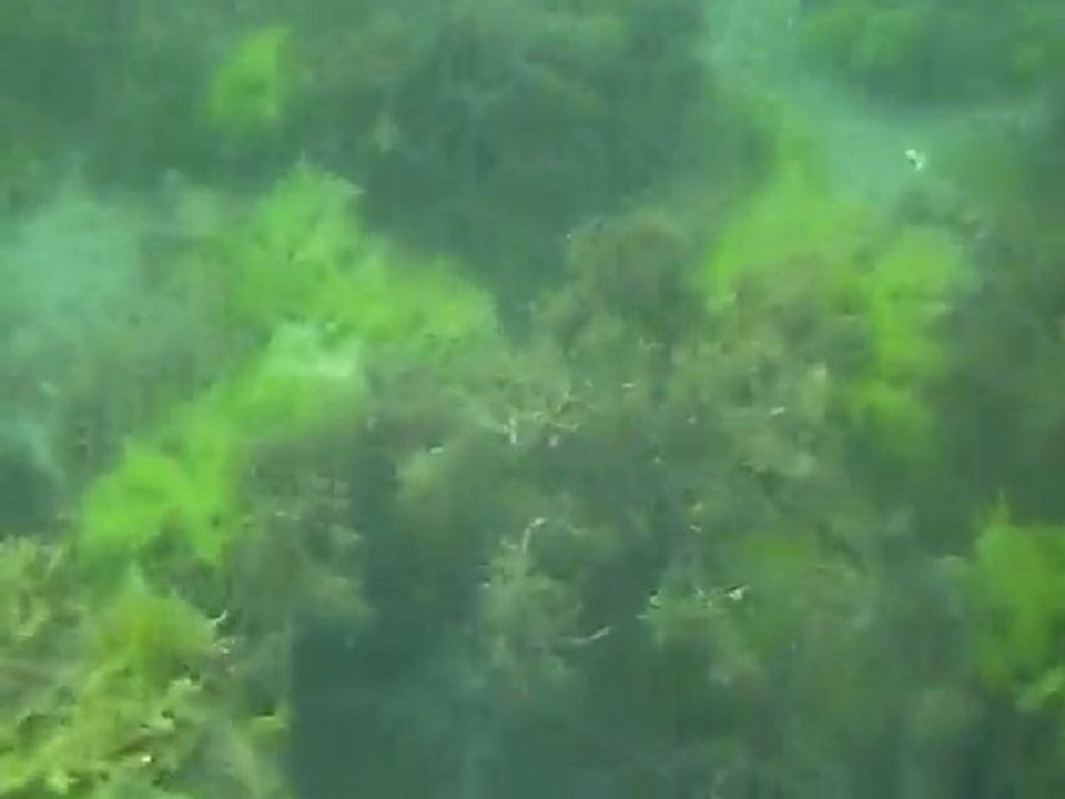 Amasra Direkli'ye Yolculuk