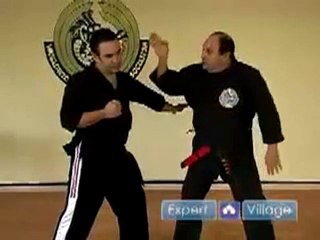 Kenpo Karate Snapping Twig Techniques