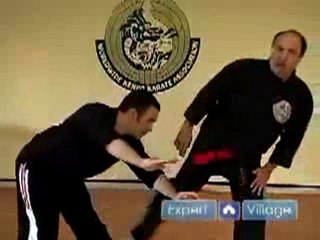 The Aggressive Twins Kenpo Karate Technique