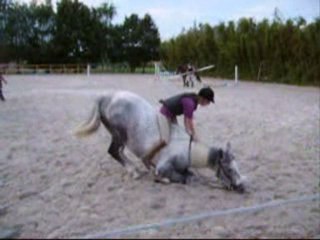 Safran: 4ans: Mon clown adoré à moi..