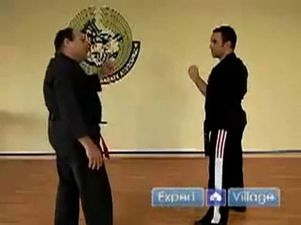 The Five Swords Kenpo Karate Technique - Vídeo Dailymotion