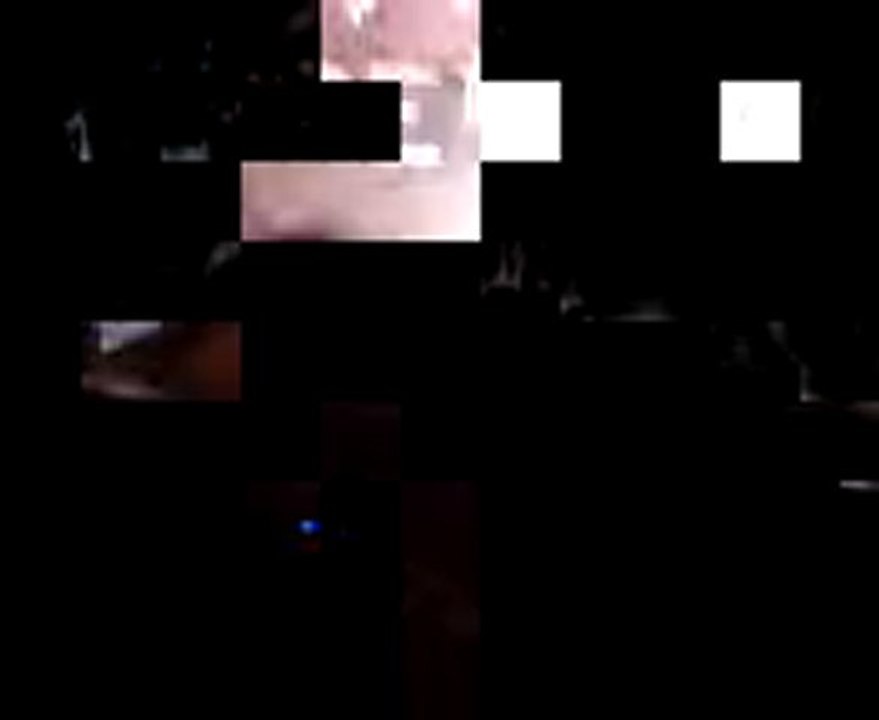 L'effet d'un petit chat sur René la taupe