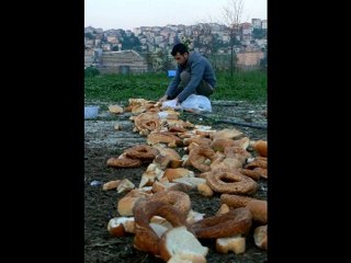 Kış güneşi bekler seni..