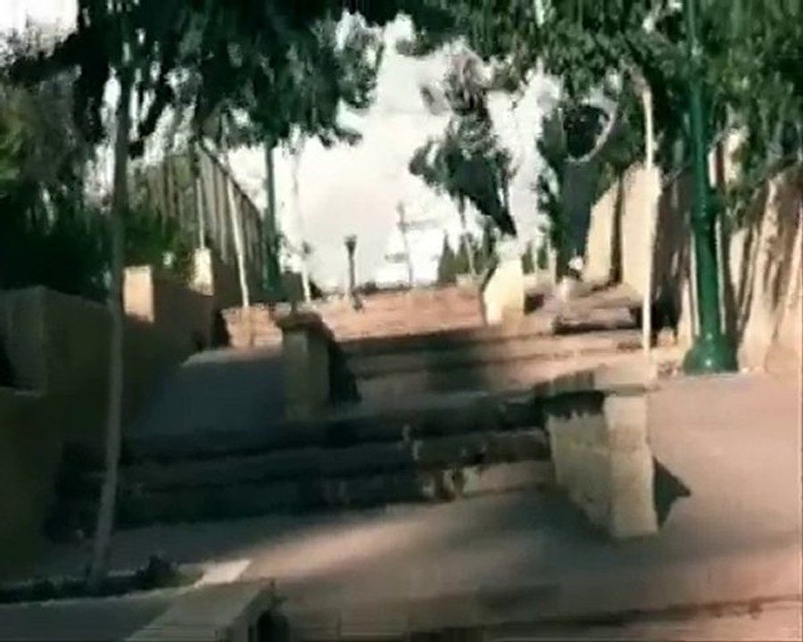 פעלולי הרכב הפארקור הישראלי - 1