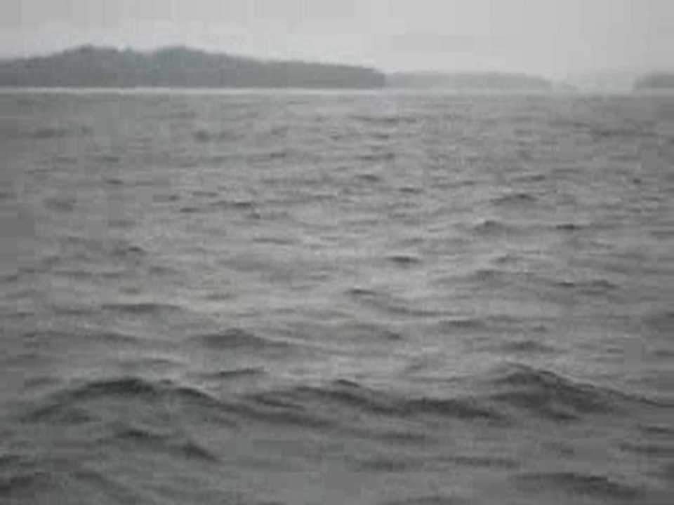 Rencontre avec les baleines!!!