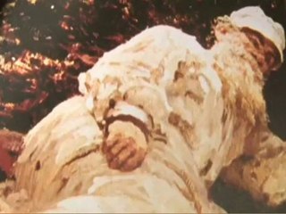 Le roman de Tolstoï de Vladimir Fédorovski sur webtvculture