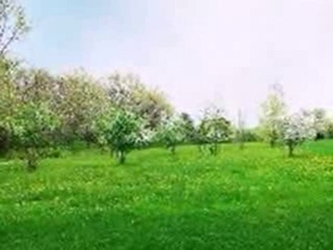 Homes for Sale - 6655 S County Line Rd - Burr Ridge, IL 6052