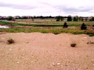 Homes for Sale - 23158 Sunburst Pt - Frankfort, IL 60423 - C