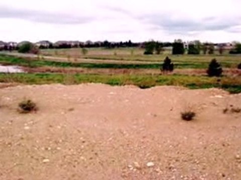 Homes for Sale - 23158 Sunburst Pt - Frankfort, IL 60423 - C