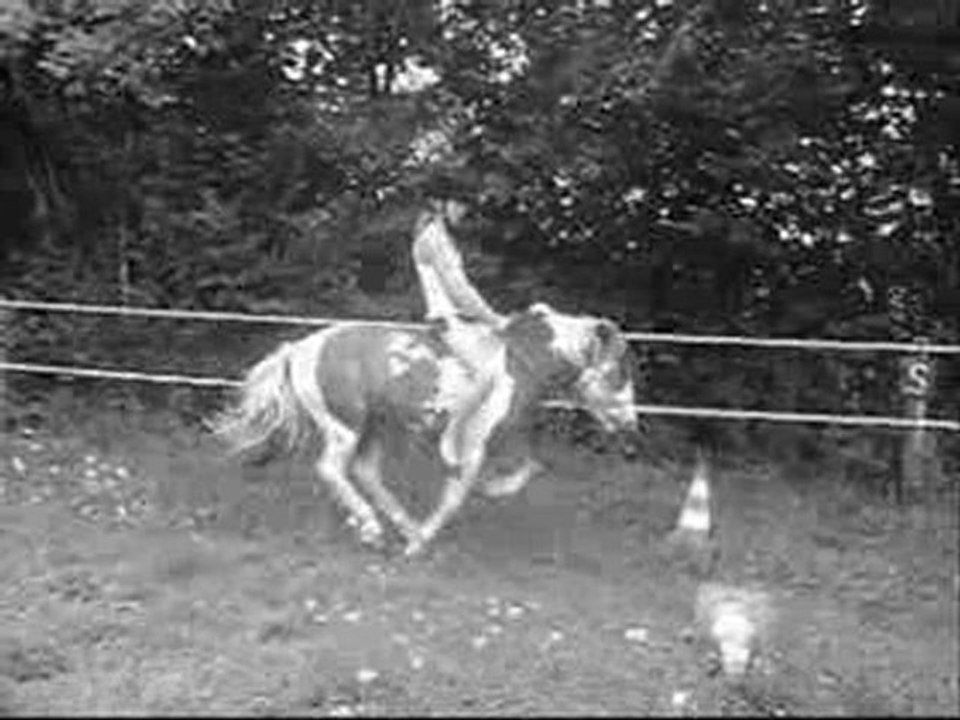 Montage Horizon et Moii