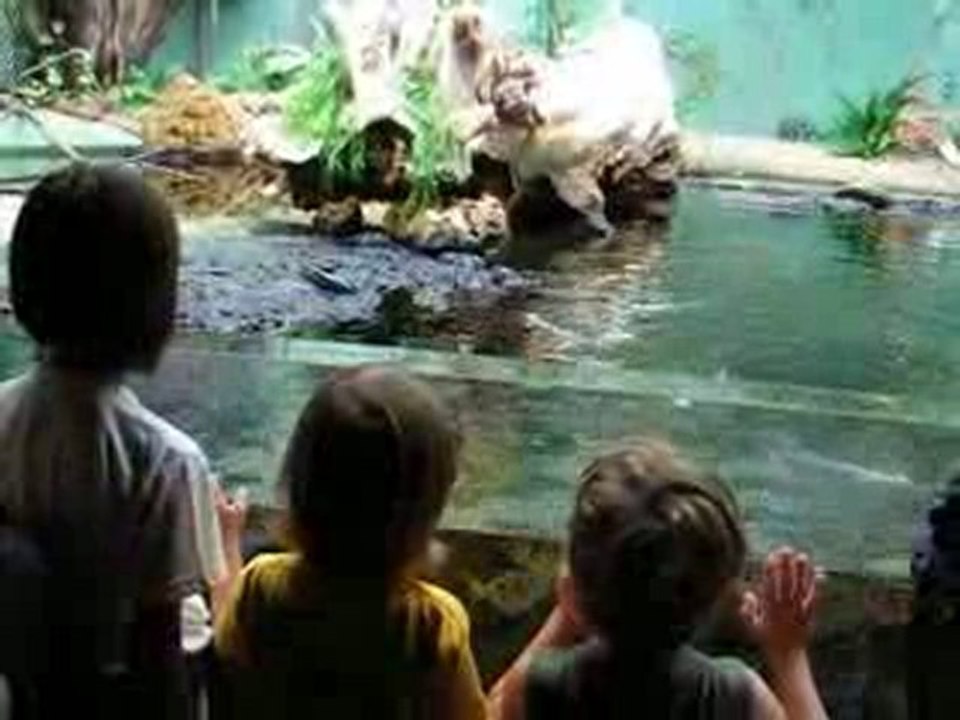 AQUARIUM TALMONT 07