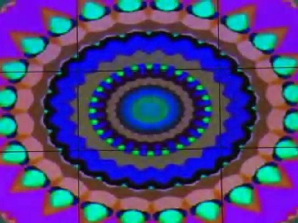 представяне на концертът "В името на живота"