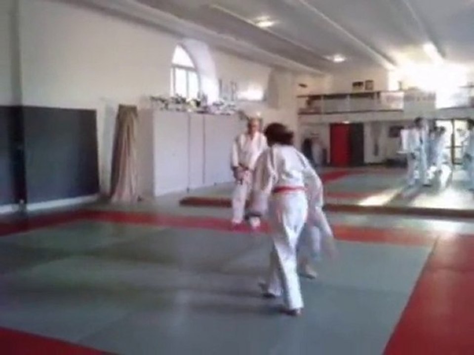 UV ceinture verte Estelle jujitsu 2010 jujitsu