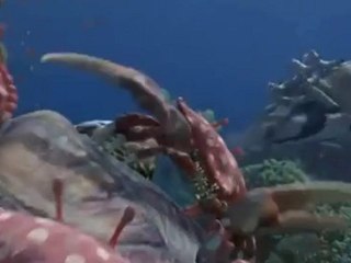 Cadbury - Spots vs Stripes