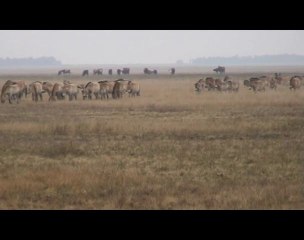 Jusque très loin dans le temps (1)
