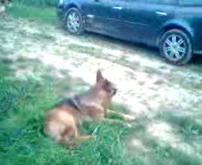 vicky berger allemand 6 ans