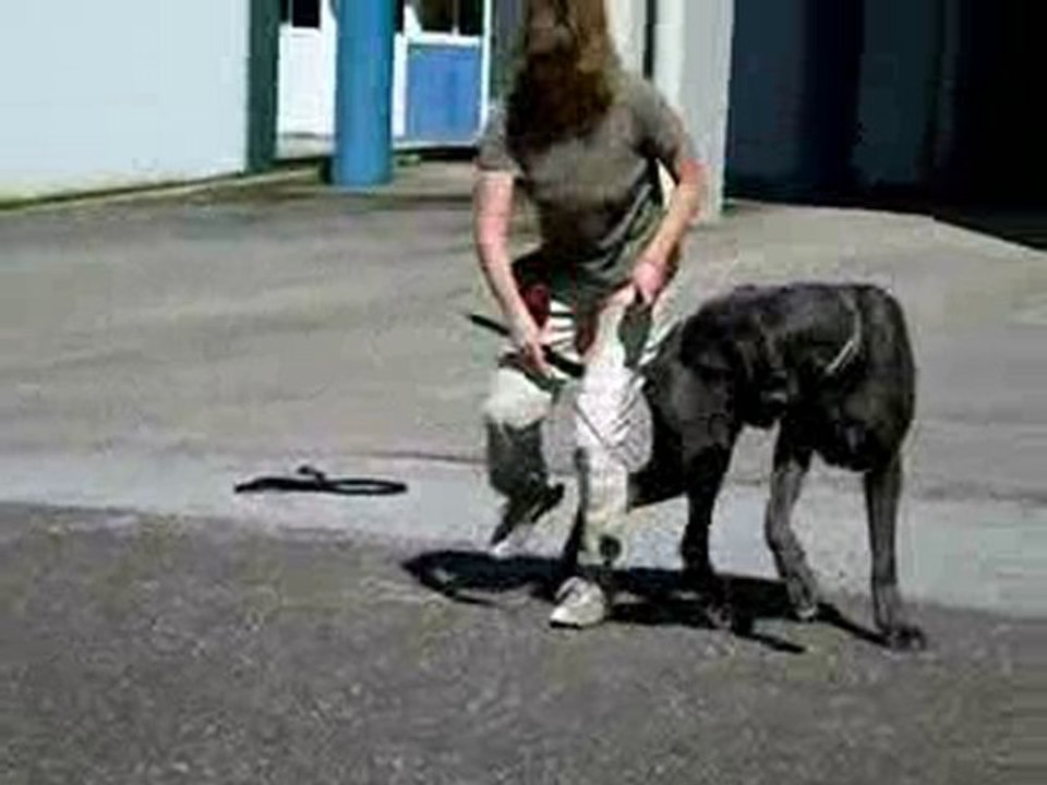 Cronos de l'Orangerie des Perles Rares, Des Comtés Séquanes