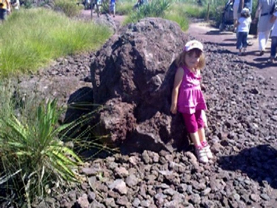 Visite du parc oiseaux