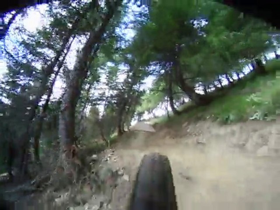 Piste Les Sapins; Deux alpes, aout 2010