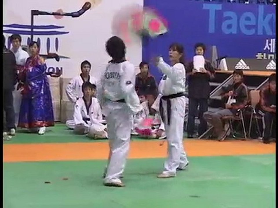 taekwondo hanmadang 2005