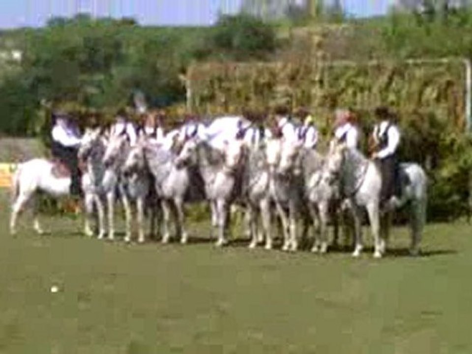 VID 00003-20090906-1450