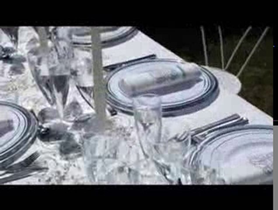 La vaisselle jetable mariage : www.dinovia.fr