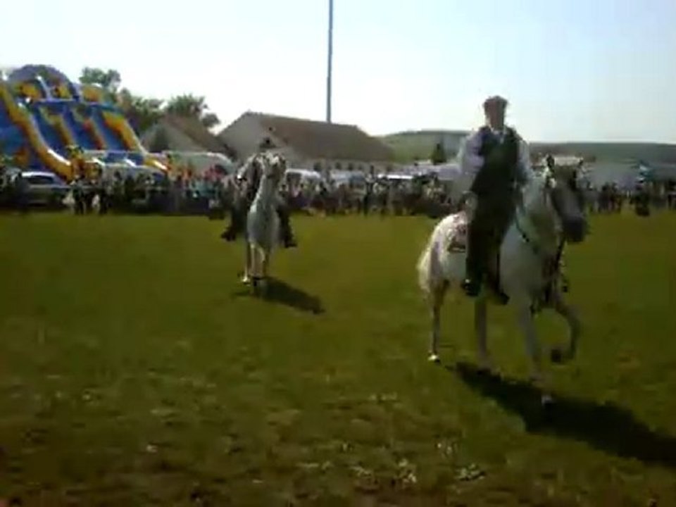 camarguer equitation
