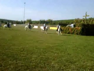 camargue equitation