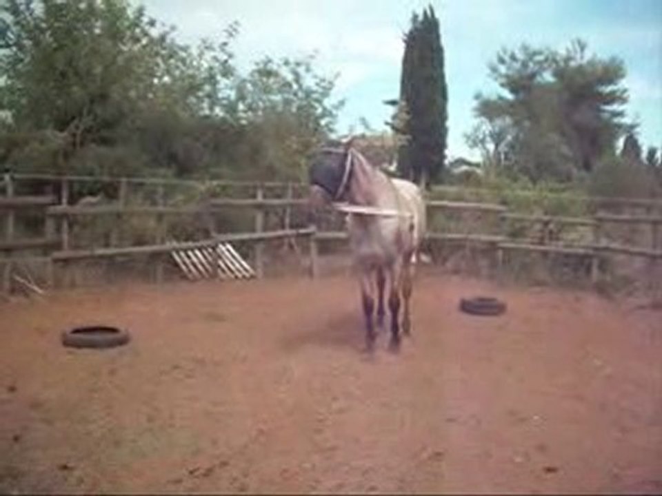 Jump qui recule