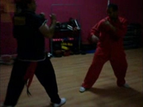 Técnicas de Choy Li Fut Kung fu_1