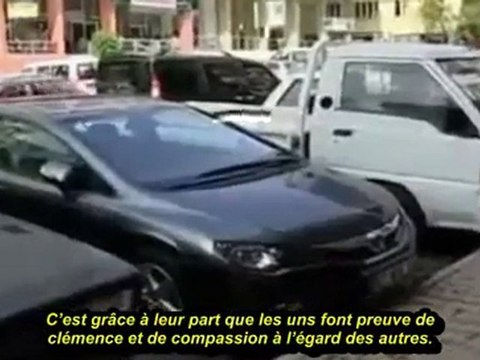 YouTube - CHAT PLUS HUMAIN QUE CERTAINS HUMAINS !