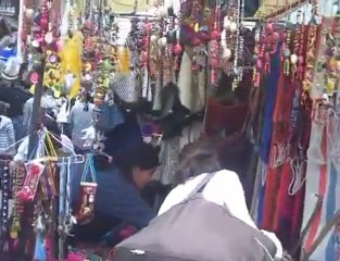 Travelling Raw Food Eaters, epdisode #517