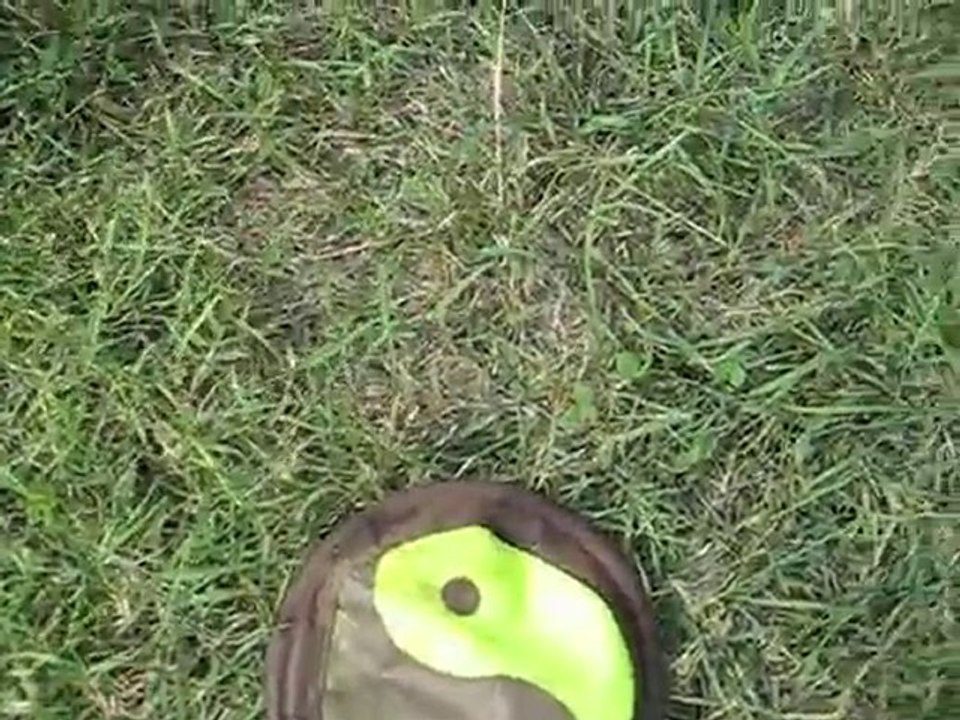 Kiba et son frisbee 01