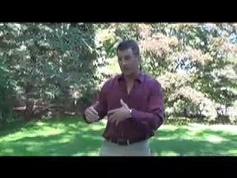 Psychologist, Consultant, & Business Coach - dr brett denki