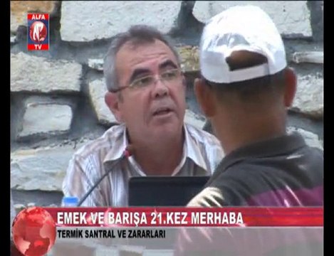 Termik Santralin Zararları 2