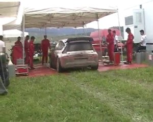 test sébastien loeb deutschland rally 2010