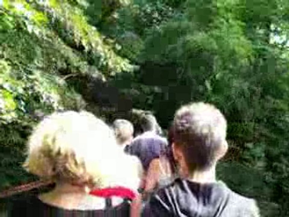 journée a walibi