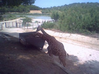 ma journer moi et ma mer a pirak parc et au park de sigan