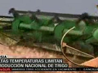 Ola de altas temperaturas en Rusia amenaza producción nacio