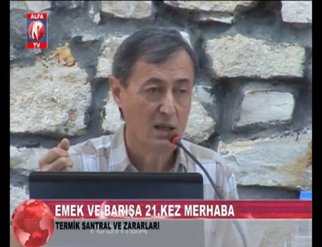 Termik Santralin Zararları 4