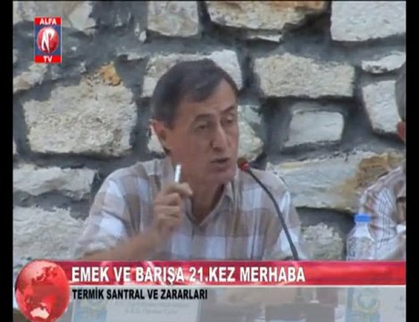 Termik Santralin Zararları 5